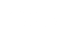 SINOPIA PRODUCTION